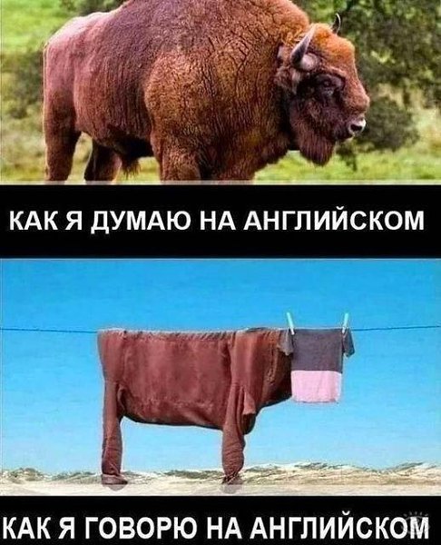 ���������� ���� - 9 ������� 2024 � 06:04