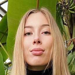 ����, �����, 29 ���