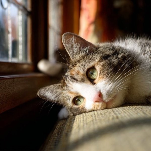 �������� - 23 �������� 2025 � 13:27