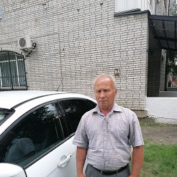 , 61, 