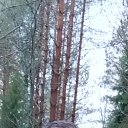 ���� ����, ������, 43 ���� - ��������� 19 ������ 2023 � ������ ���� ����������