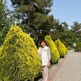 , 66, 