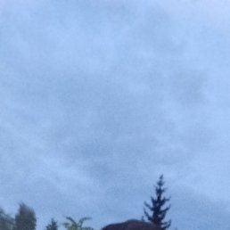 , 35, 