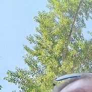 , 41 , 