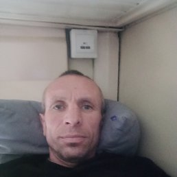 �����, 41 ���, ������������