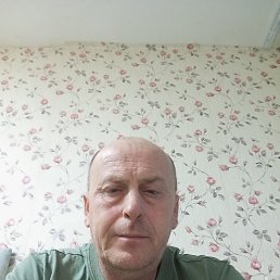  , 51, 