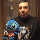 ���� ����, ���� - ��������� 31 ������ 2026 � ������ ���� ����������