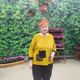 , 65, 