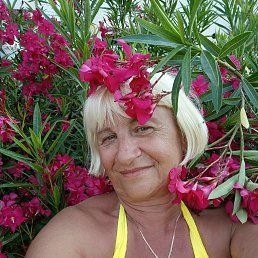 , 62,  