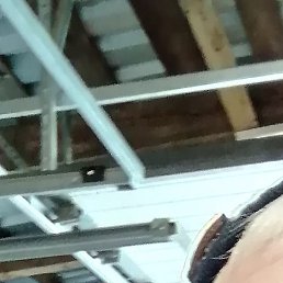 ������, ������, 49 ���