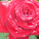 ���� ������, ������, 70 ��� - ��������� 4 ������� 2023