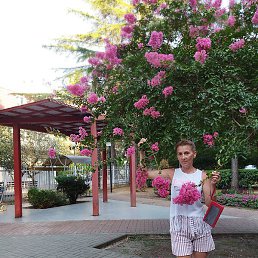 ��������, �������, 55 ���