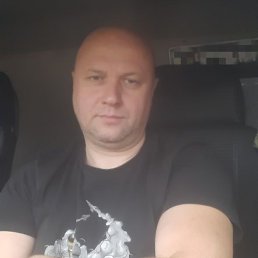 ����, 46 ���, �����