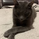 ���� Ygor, �������, 64 ���� - ��������� 18 ������ 2024