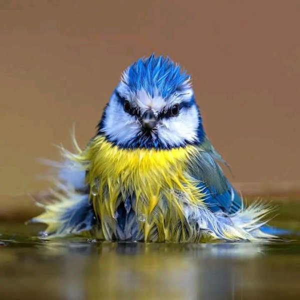 �� ������ ����������...)