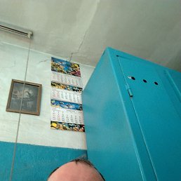 , 49, 