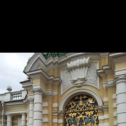 �����, ������, 49 ���