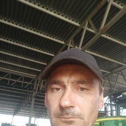 , 39, 