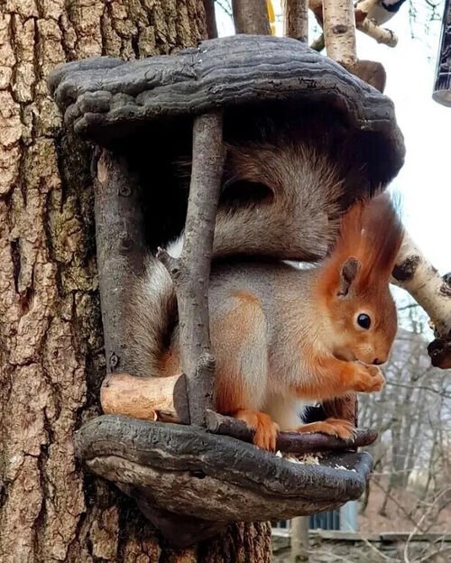 �� ����� ������! - 19 ������ 2025 � 19:58