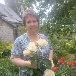 , 51, 