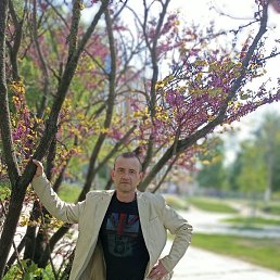 ������, 53 ����, �����