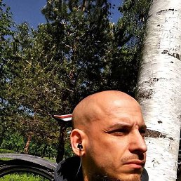 Max, 39, -