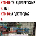 , , 28  -  14  2024    