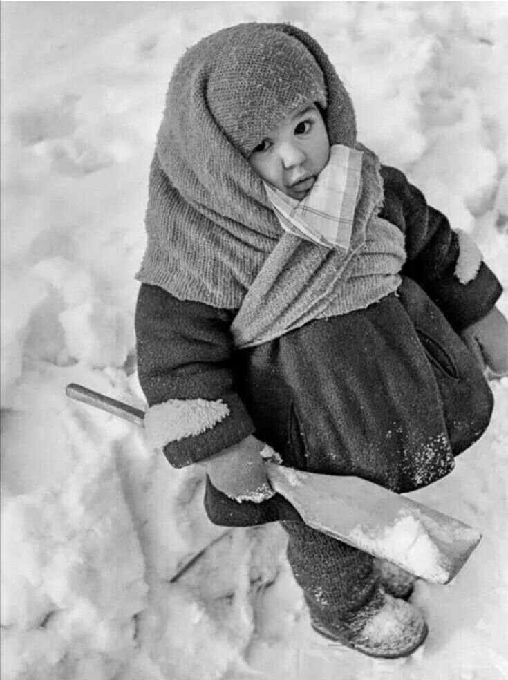  o.    .  ,   o Burberry:   o ...