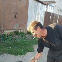 ���� ������ ���������, ������, 51 ��� - ��������� 11 ��� 2025 � ������ ���� ����������