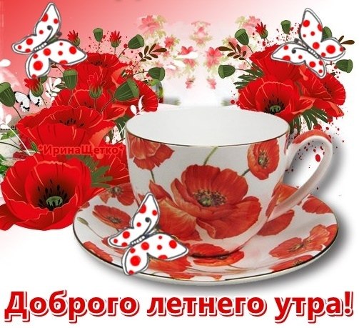   - 18  2025  06:11