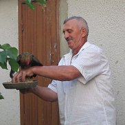 , 70 , 