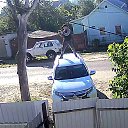 ���� ���������, ������, 42 ���� - ��������� 22 ������� 2025