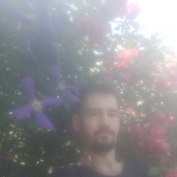 , 32, 