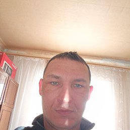 �����, 41 ���, ������