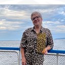 ���� ����, ������, 56 ��� - ��������� 5 ����� 2026