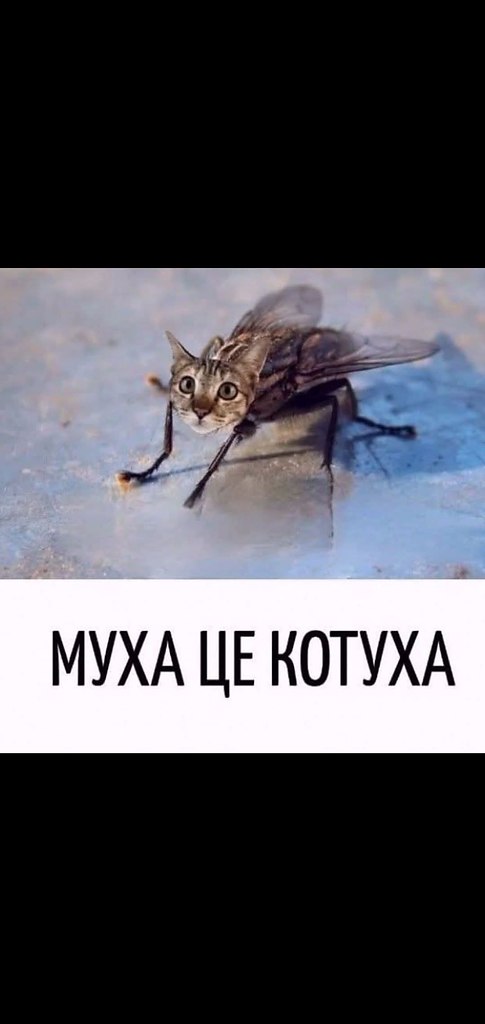 :)