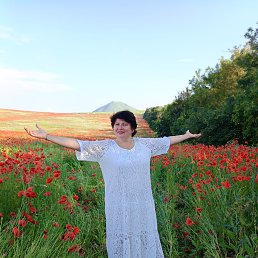 ���� �������, ���������, 54 ���� - ��������� 6 ���� 2025