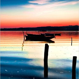 ���, ������-��-����, 56 ���