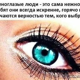 ���� �������, ���������, 56 ��� - ��������� 15 ������ 2023