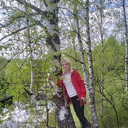 �������, ������, 49 ���