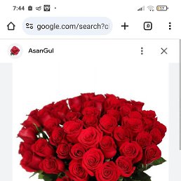 Ayxan, ����, 36 ���