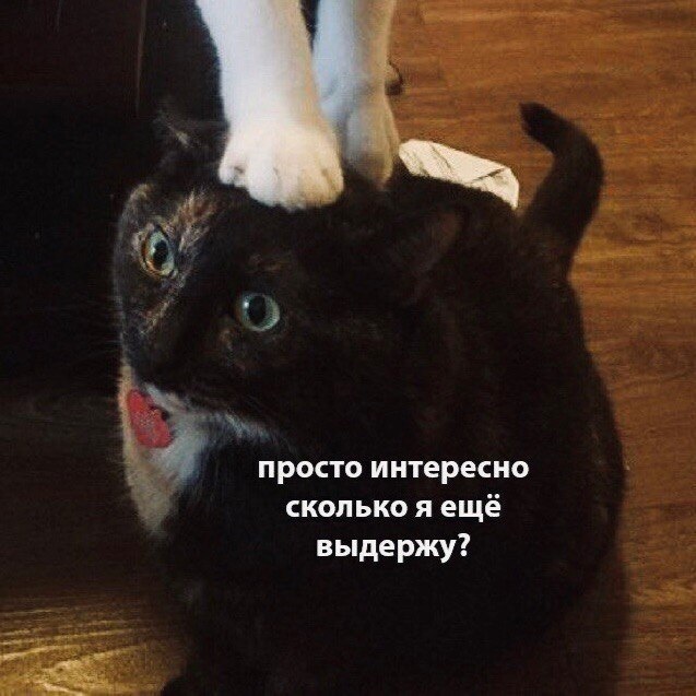    - 20  2024  08:29