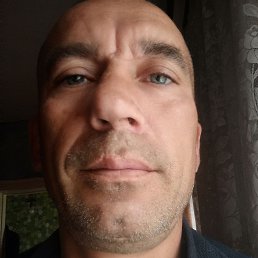, 41, 