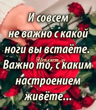  - 25  2025  11:03
