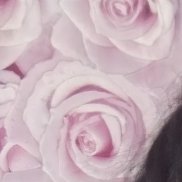 ���, 40 ���, �������