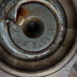 ������, ������, 51 ���