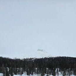 ���� ������, ������ �����, 44 ���� - ��������� 9 ������ 2025