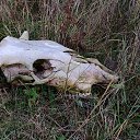 ���� ������, ������������, 55 ��� - ��������� 21 ������ 2026 � ������ ������ ��������