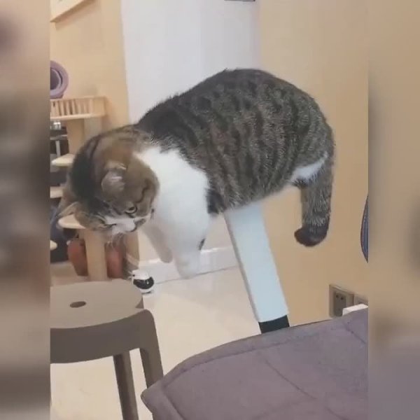 ��� ����� �� �������, ��� ��� �����������, � ���������, ��� ���������