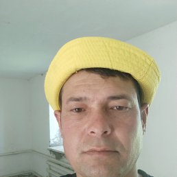 , 39, 